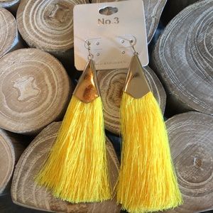 Yesssss! 🙌🏻 NWT! Perfect summer Earring! So hot!